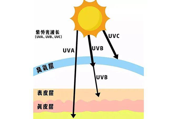 夏季防曬技巧、防曬產(chǎn)品怎么選、曬后修復(fù)方法-第2張圖片-文巢好物