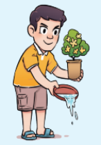 家里如何防蚊子，室內(nèi)防蚊子的最好辦法，3大維度教你科學(xué)滅蚊！-第5張圖片-文巢好物