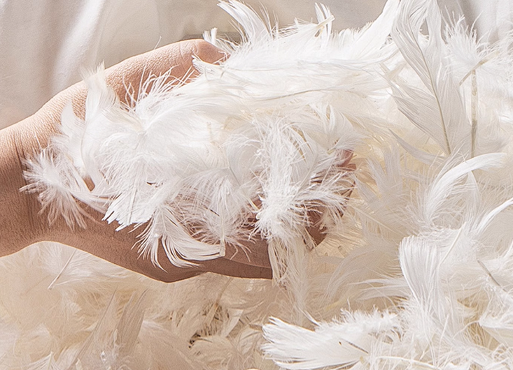 什么樣的沙發(fā)坐著最舒服，樸琢沙發(fā)輕薄扶手設(shè)計，白鵝絨+新雪麗棉-第4張圖片-文巢好物